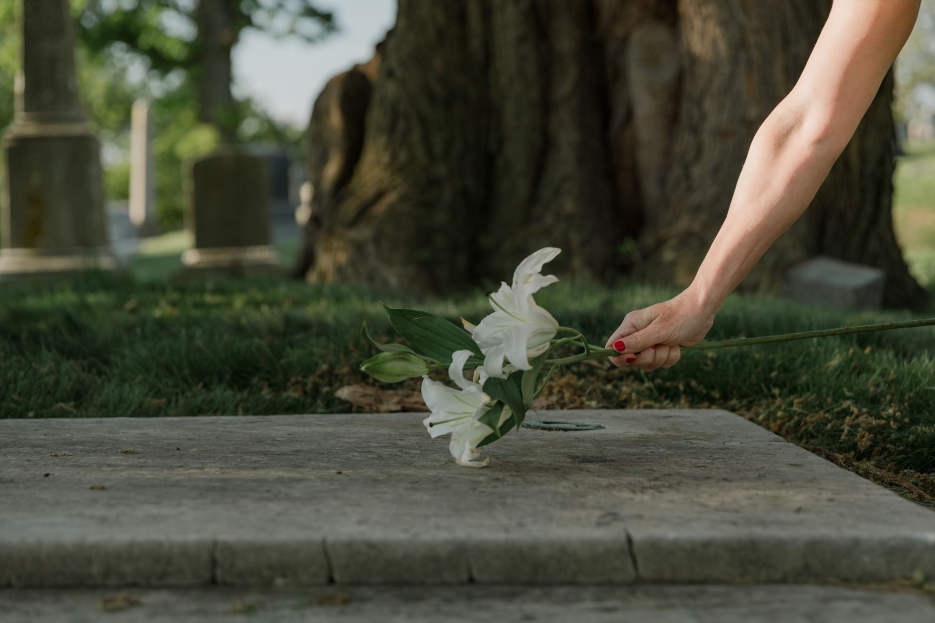 White lilies resting on a granite headstone in a peaceful cemetery